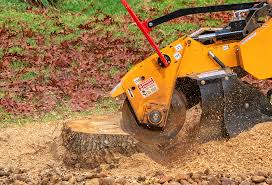 Seasonal Cleanup (Spring/Fall) in Luxemburg, WI